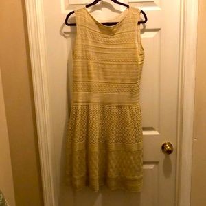 Ralph Lauren size XL dress